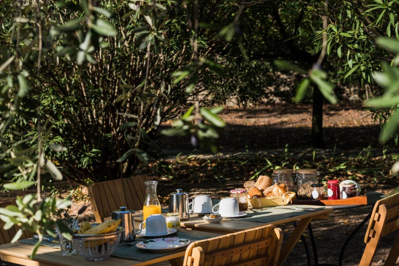 La Closerie Des Iris Castelnau-d'Aude Eksteriør billede