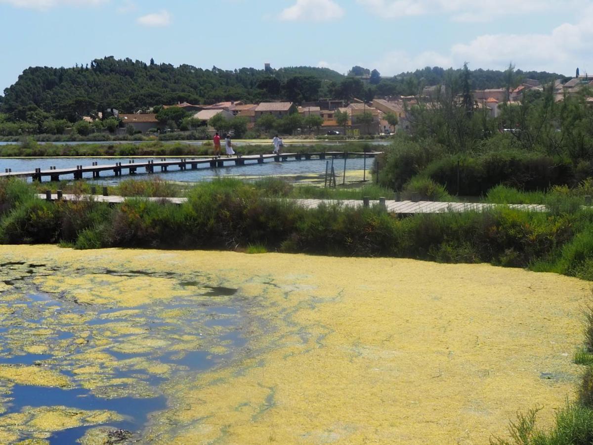 La Closerie Des Iris Castelnau-d'Aude Eksteriør billede